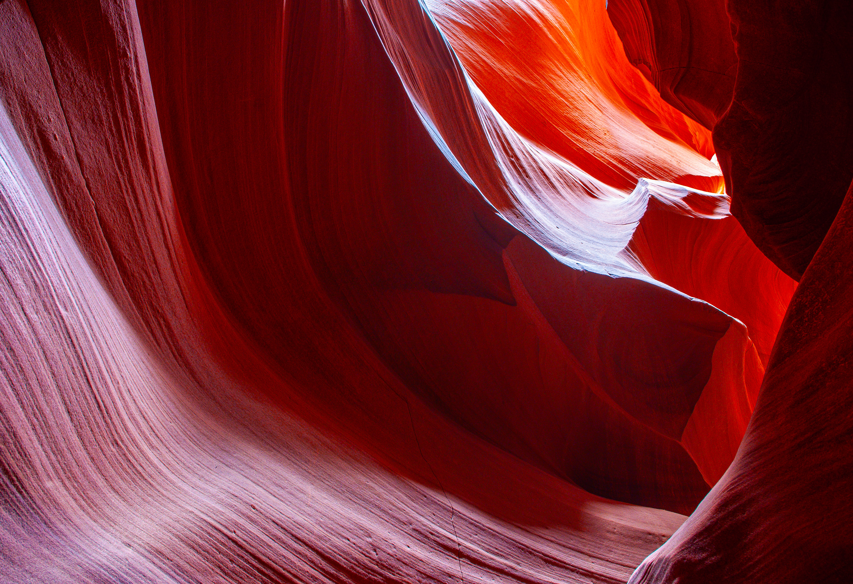 3rd PrizeOpen Color In Class 2 By William Cheadle For Luminous Path FEB-2026.jpg